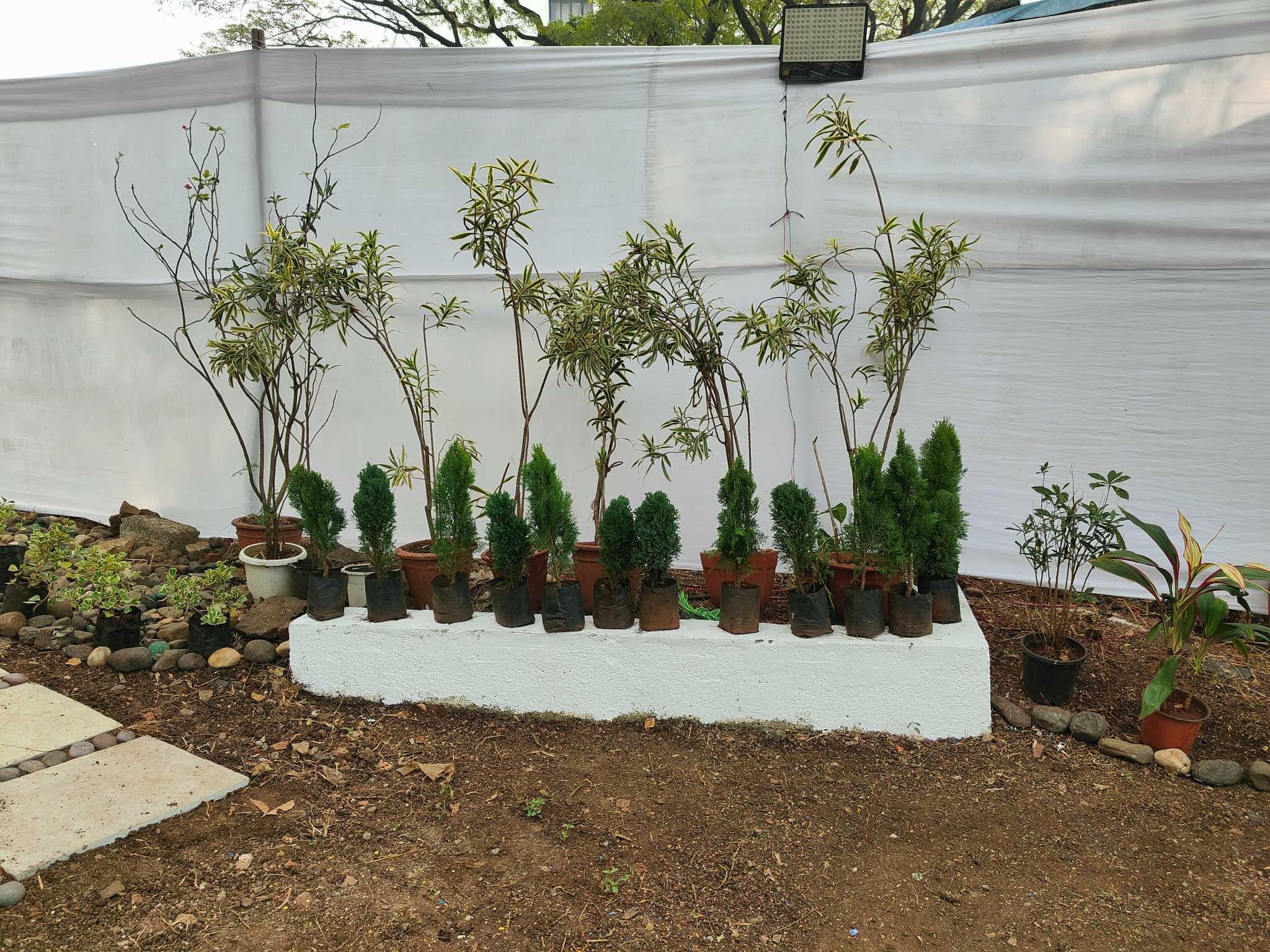 Jagannath Rathi Vocational Guidance & Training Insitute Pune Annual Exhibition photo 25